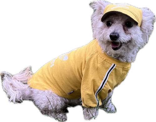 هودی ورزشی همراه کلاه