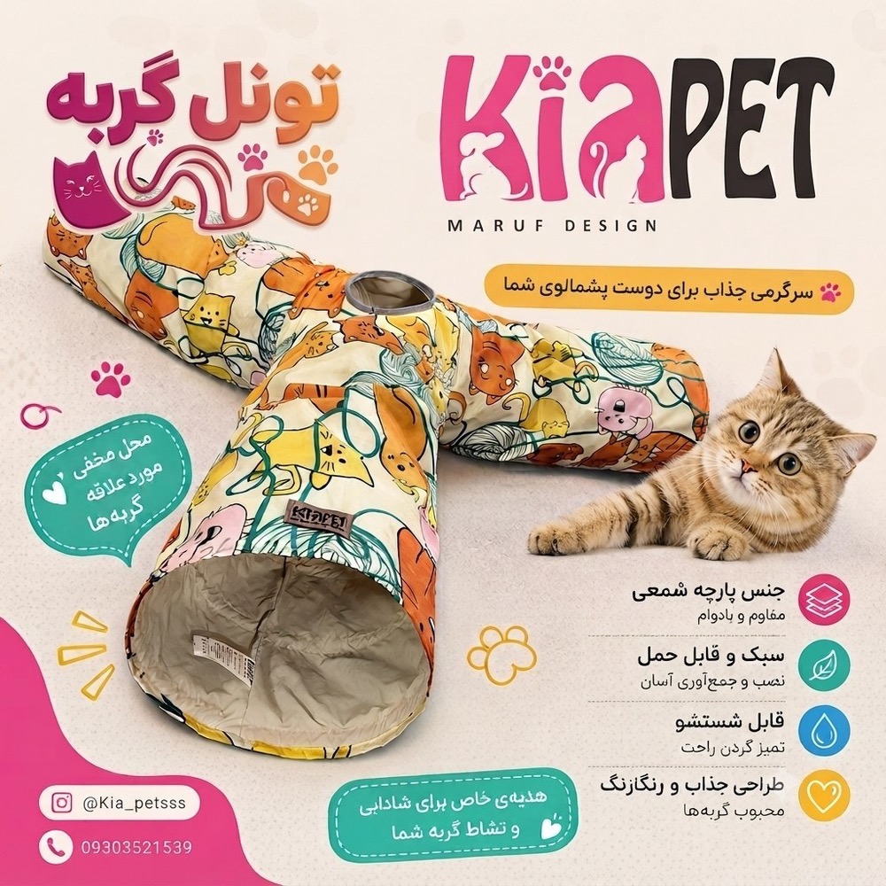 تونل گربه